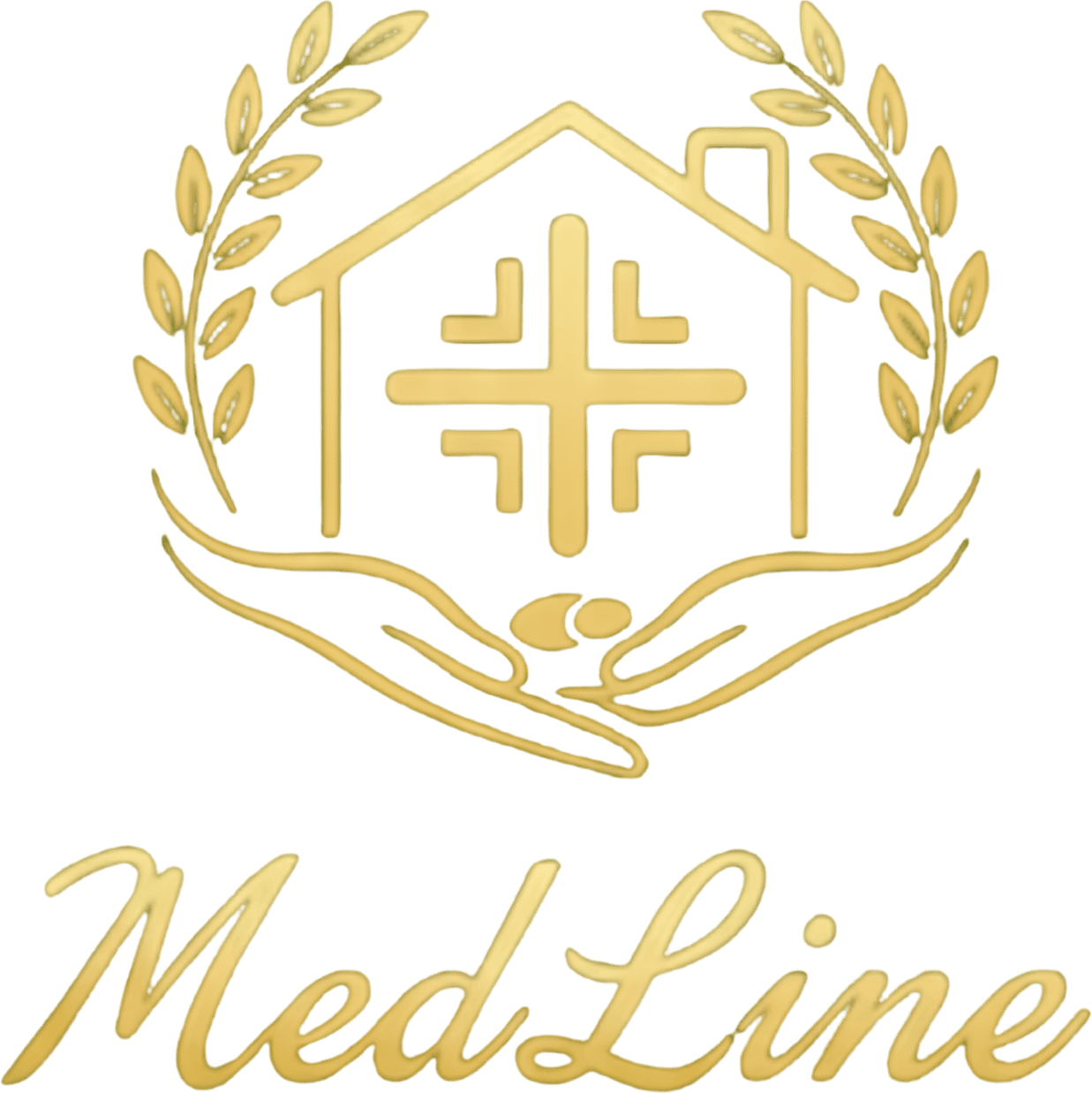 MedLine — asistență medicală la domiciliu în Chișinău